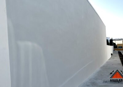 fachada cashfamily carmona proyectdo mortero blanco-2